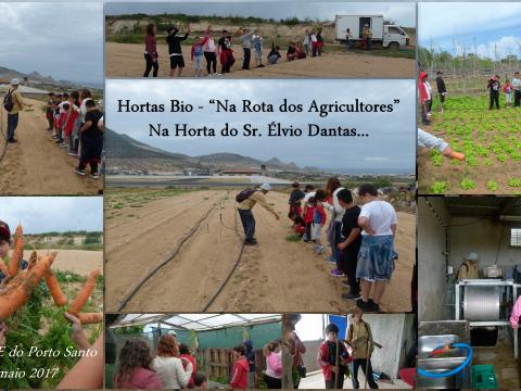 Na Rota dos Agricultores - Horta do Sr. Élvio Dantas